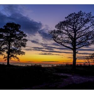 Meet your Posher, Joshua